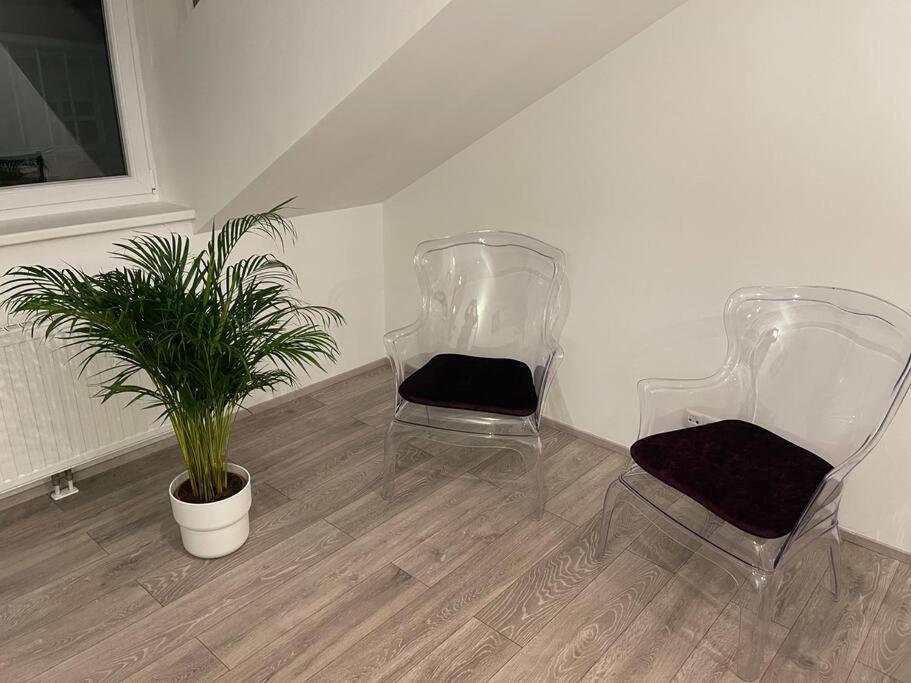维也纳Dachterrasse Fuer 4 Personen公寓 外观 照片